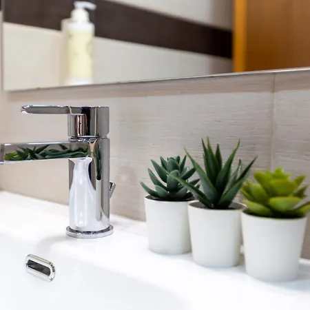 A Casa Da Bela Vista Aveiro