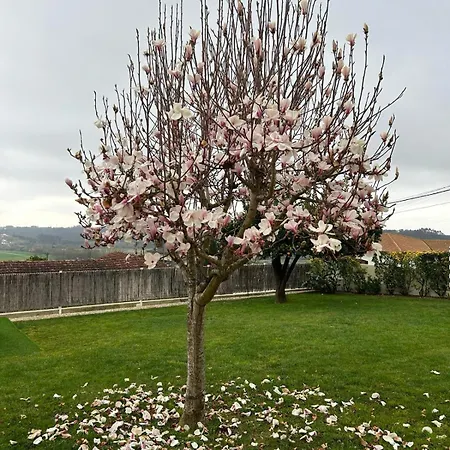 A Casa Da Bela Vista * Aveiro