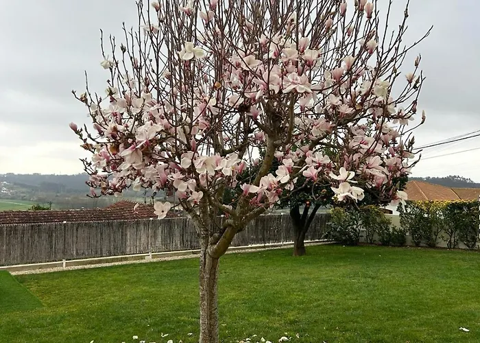 A Casa Da Bela Vista * Авейру