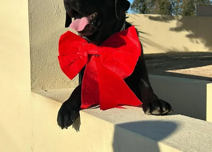 A Casa Da Bela Vista * Авейру